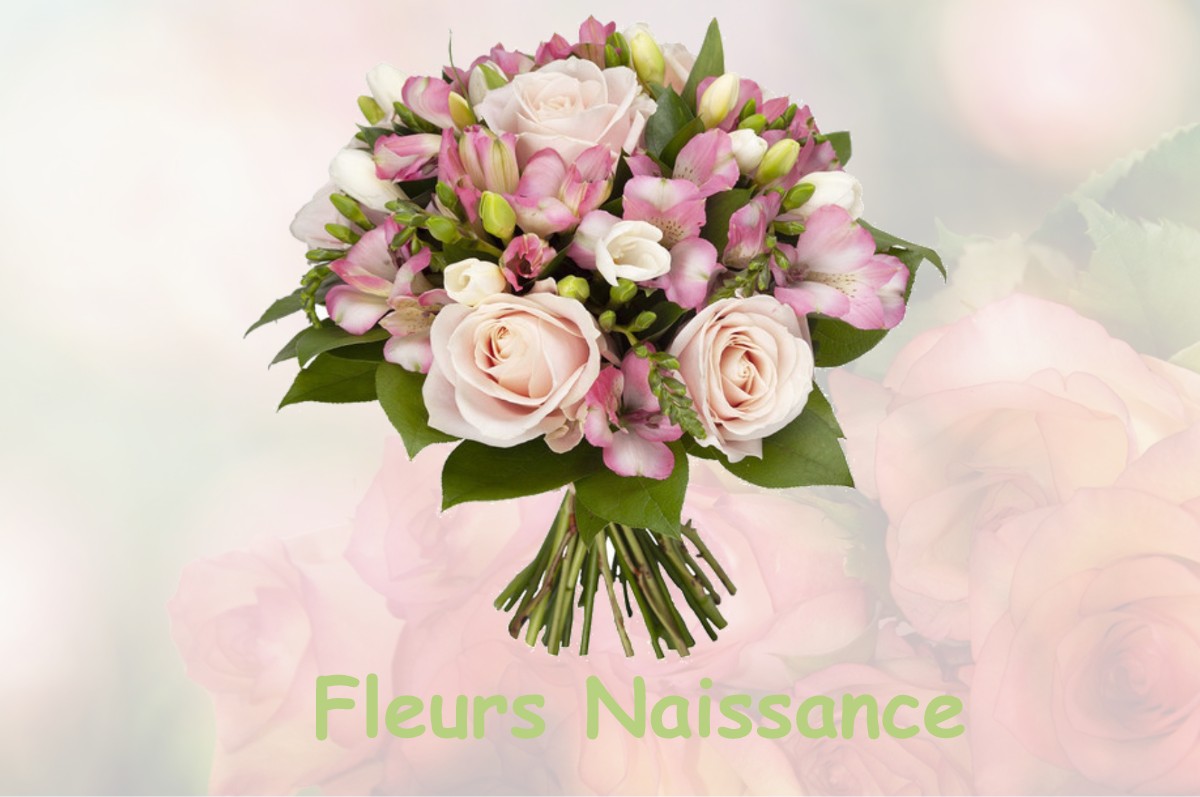 fleurs naissance SAINT-PIERRE-LAVIS
